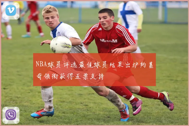 NBA球员评选最佳球员结果出炉约基奇领衔获得五票支持