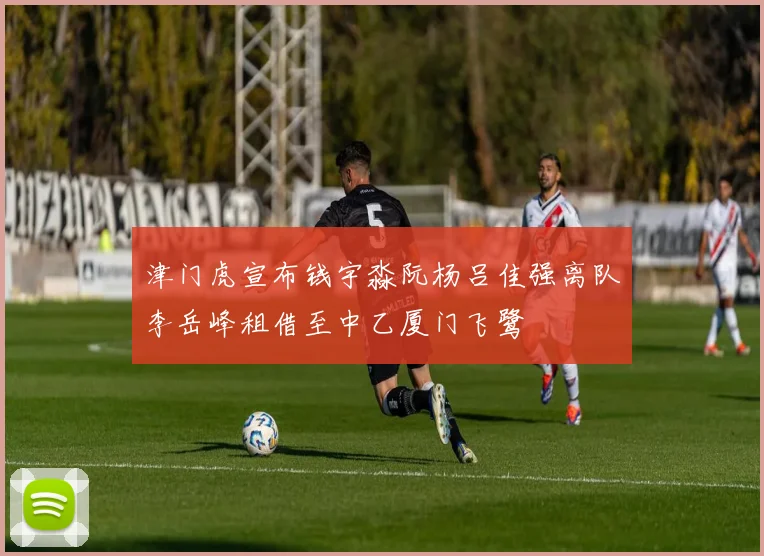 津门虎宣布钱宇淼阮杨吕佳强离队李岳峰租借至中乙厦门飞鹭