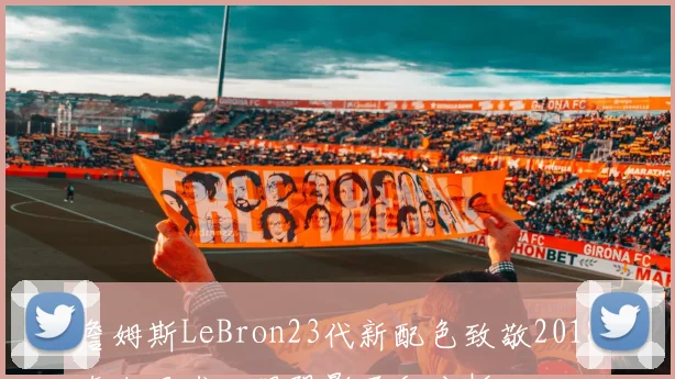 詹姆斯LeBron23代新配色致敬2018东决猛龙心理阴影面积分析