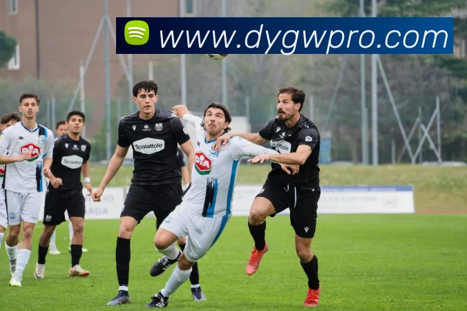 斗鱼官网平台生态图