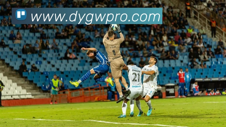 斗鱼官网APP 封面图