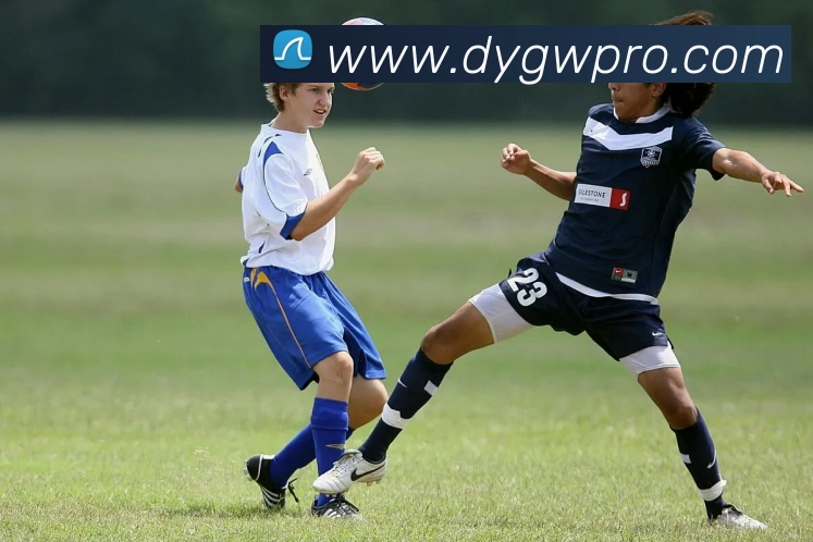 数据防护可视化